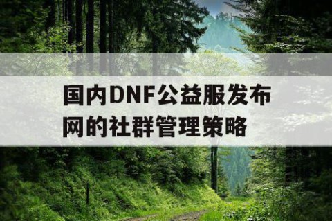 国内DNF公益服发布网的社群管理策略