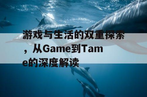 游戏与生活的双重探索，从Game到Tame的深度解读