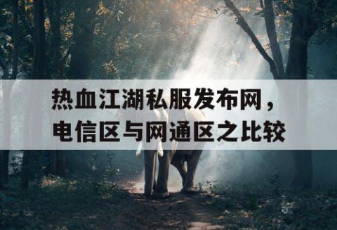 热血江湖私服发布网，电信区与网通区之比较
