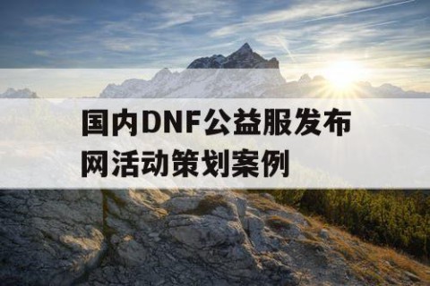 国内DNF公益服发布网活动策划案例