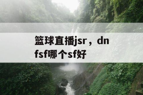 篮球直播jsr，dnfsf哪个sf好