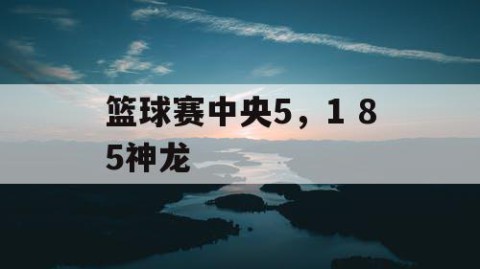 篮球赛中央5，1 85神龙