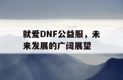 就爱DNF公益服，未来发展的广阔展望