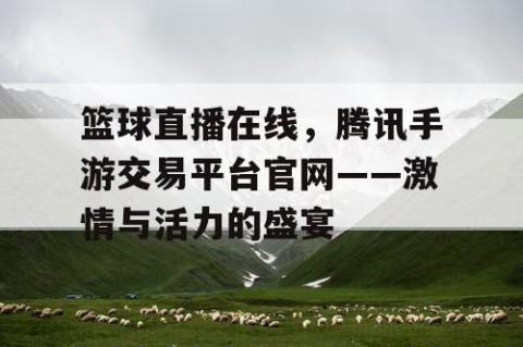 篮球直播在线，腾讯手游交易平台官网——激情与活力的盛宴