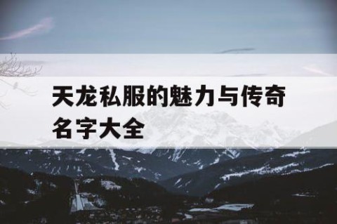 天龙私服的魅力与传奇名字大全