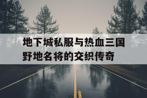地下城私服与热血三国野地名将的交织传奇