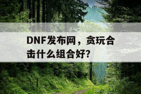 DNF发布网，贪玩合击什么组合好？