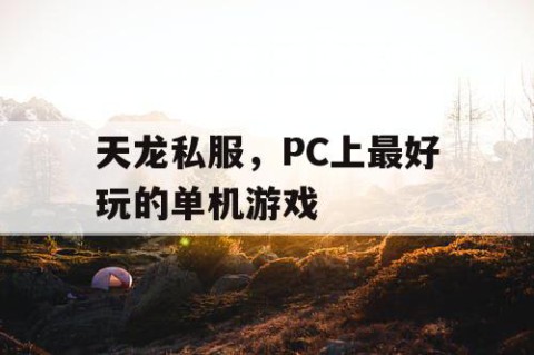 天龙私服，PC上最好玩的单机游戏