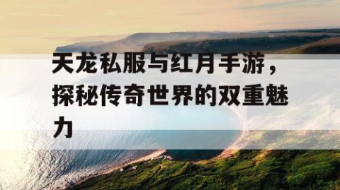 天龙私服与红月手游，探秘传奇世界的双重魅力