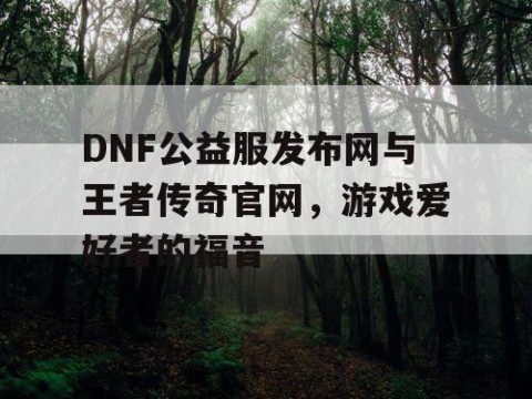 DNF公益服发布网与王者传奇官网，游戏爱好者的福音
