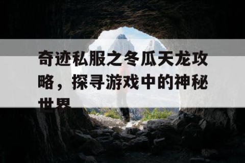 奇迹私服之冬瓜天龙攻略，探寻游戏中的神秘世界
