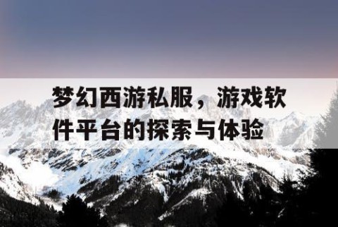 梦幻西游私服，游戏软件平台的探索与体验
