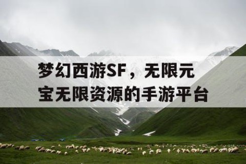 梦幻西游SF，无限元宝无限资源的手游平台
