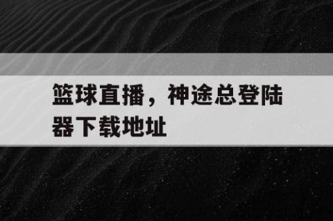 篮球直播,神途总登陆器下载地址