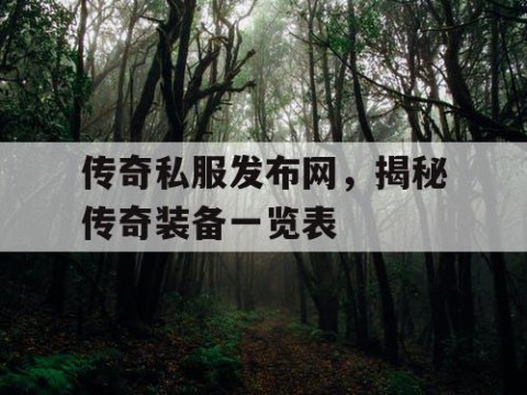 传奇私服发布网,揭秘传奇装备一览表