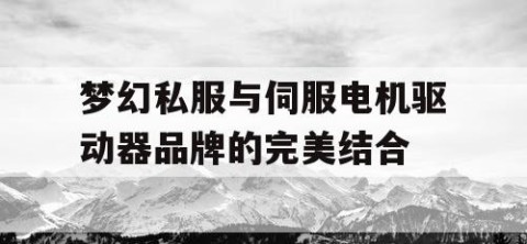 梦幻私服与伺服电机驱动器品牌的完美结合