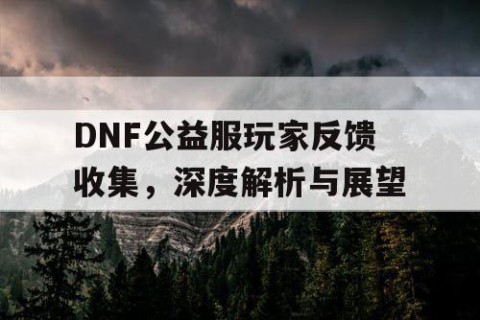 DNF公益服玩家反馈收集，深度解析与展望