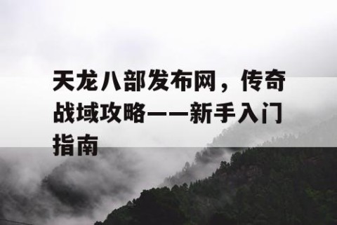 天龙八部发布网，传奇战域攻略——新手入门指南