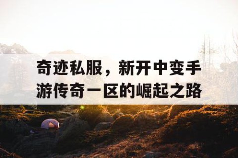 奇迹私服，新开中变手游传奇一区的崛起之路