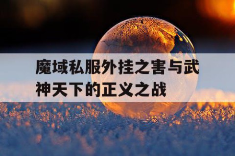 魔域私服外挂之害与武神天下的正义之战