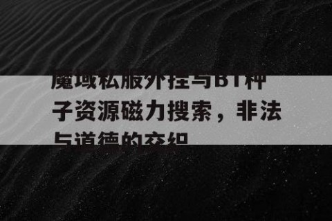 魔域私服外挂与BT种子资源磁力搜索，非法与道德的交织