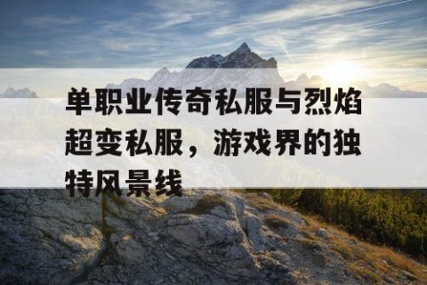 单职业传奇私服与烈焰超变私服，游戏界的独特风景线