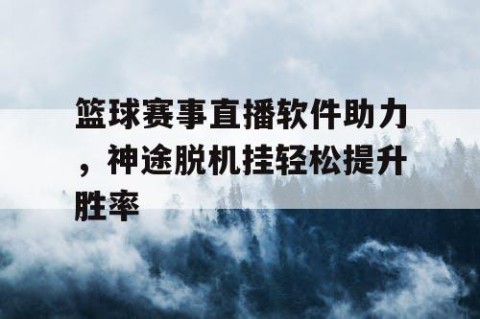 篮球赛事直播软件助力,神途脱机挂轻松提升胜率