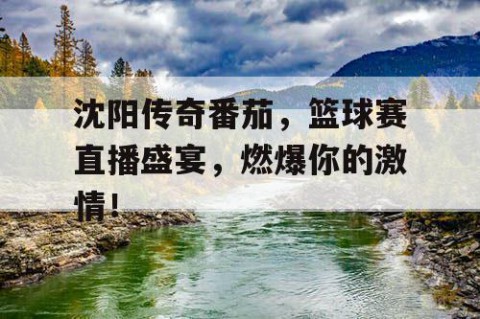 沈阳传奇番茄，篮球赛直播盛宴，燃爆你的激情！