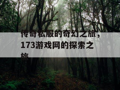 传奇私服的奇幻之旅,173游戏网的探索之旅