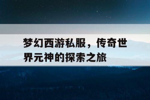 梦幻西游私服,传奇世界元神的探索之旅