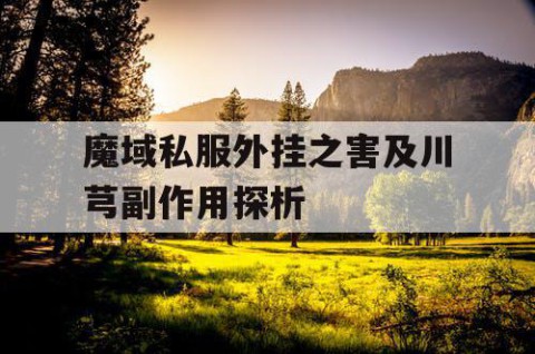 魔域私服外挂之害及川芎副作用探析