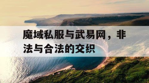 魔域私服与武易网，非法与合法的交织