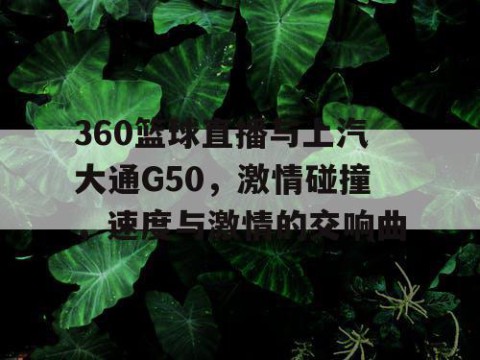 360篮球直播与上汽大通G50，激情碰撞，速度与激情的交响曲
