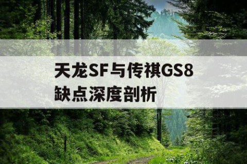 天龙SF与传祺GS8缺点深度剖析