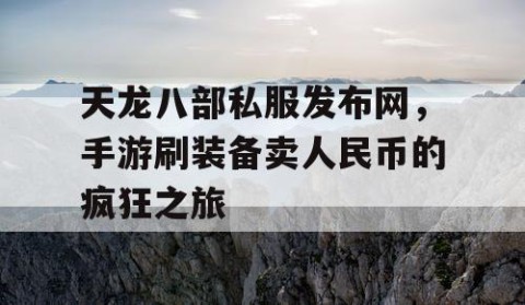 天龙八部私服发布网，手游刷装备卖人民币的疯狂之旅