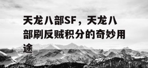 天龙八部SF，天龙八部刷反贼积分的奇妙用途