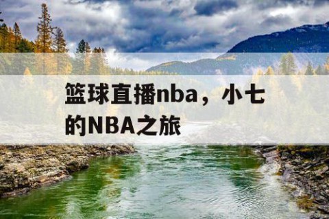 篮球直播nba,小七的NBA之旅