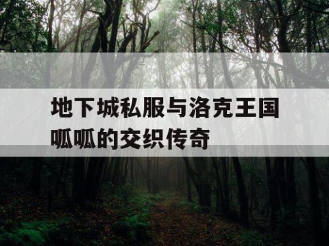 地下城私服与洛克王国呱呱的交织传奇