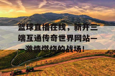 篮球直播在线，新开三端互通传奇世界网站——激情燃烧的战场！