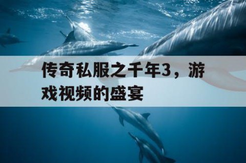 传奇私服之千年3,游戏视频的盛宴