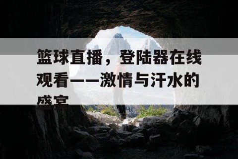篮球直播,登陆器在线观看——激情与汗水的盛宴