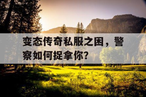 变态传奇私服之困,警察如何捉拿你?