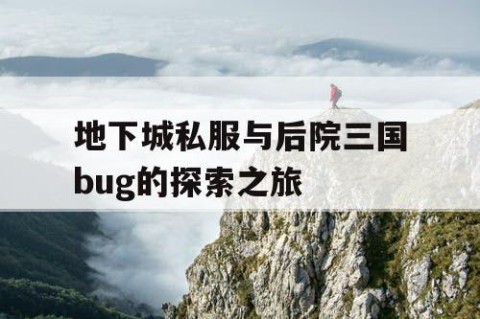 地下城私服与后院三国bug的探索之旅