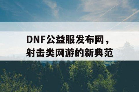 DNF公益服发布网，射击类网游的新典范