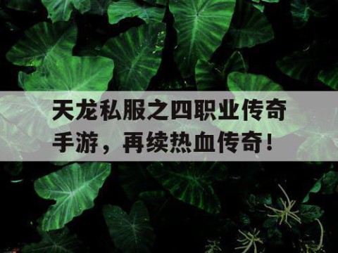 天龙私服之四职业传奇手游，再续热血传奇！