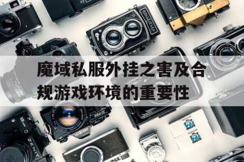 魔域私服外挂之害及合规游戏环境的重要性