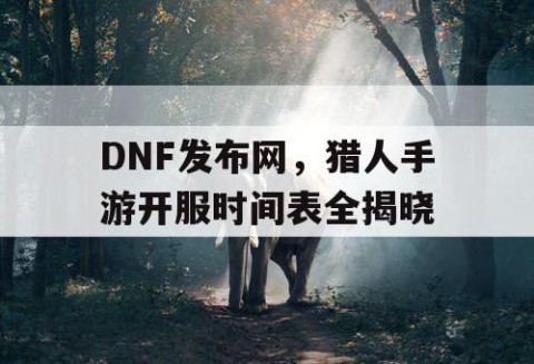 DNF发布网，猎人手游开服时间表全揭晓