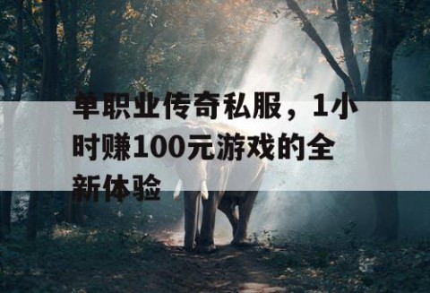 单职业传奇私服，1小时赚100元游戏的全新体验