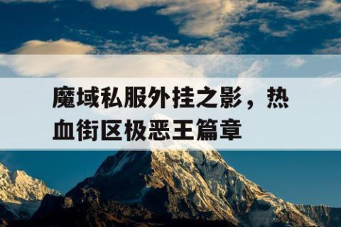 魔域私服外挂之影，热血街区极恶王篇章