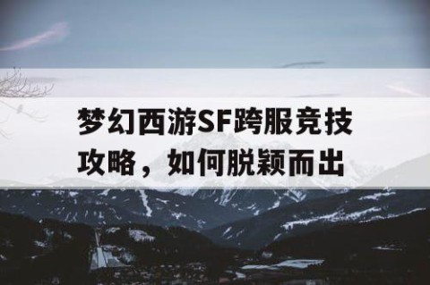 梦幻西游SF跨服竞技攻略，如何脱颖而出